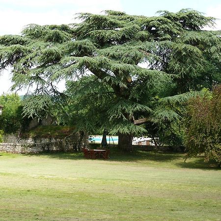 Hautefage-la-Tour Domaine De Lamassas Bed & Breakfast エクステリア 写真