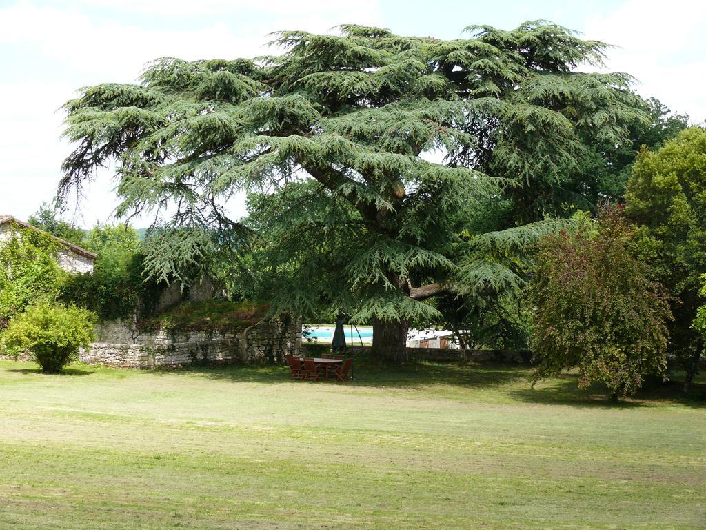 Hautefage-la-Tour Domaine De Lamassas Bed & Breakfast エクステリア 写真