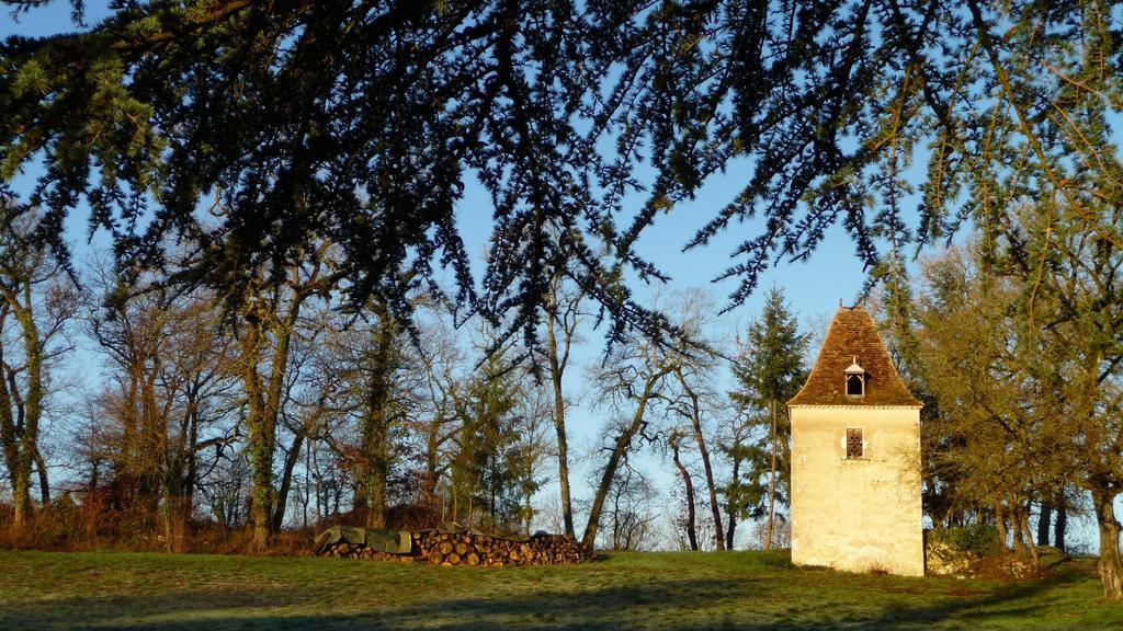Hautefage-la-Tour Domaine De Lamassas Bed & Breakfast エクステリア 写真